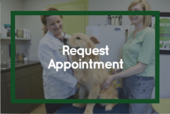 Memphis Animal Hospital - Request Appointment